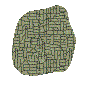 an urban area